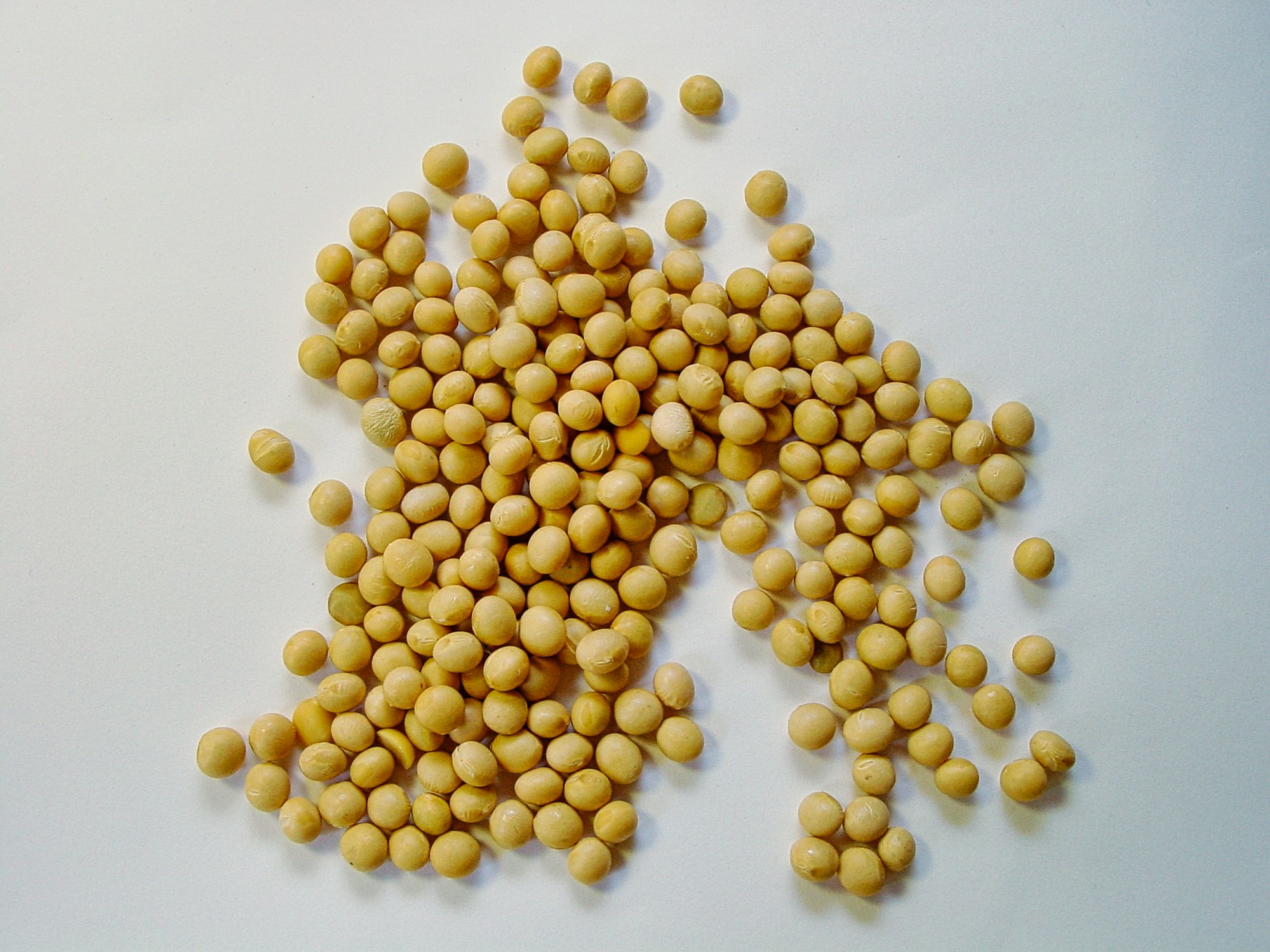 Soybean complex