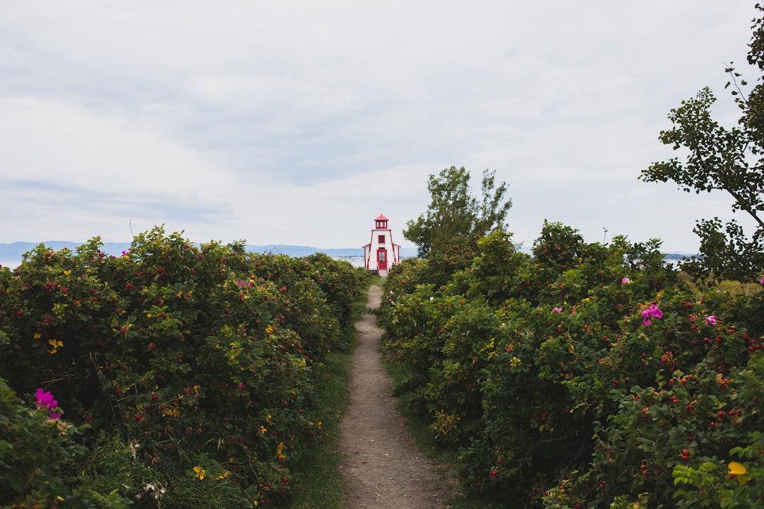 travelers stories about Nature reserve in Kamouraska, Canada