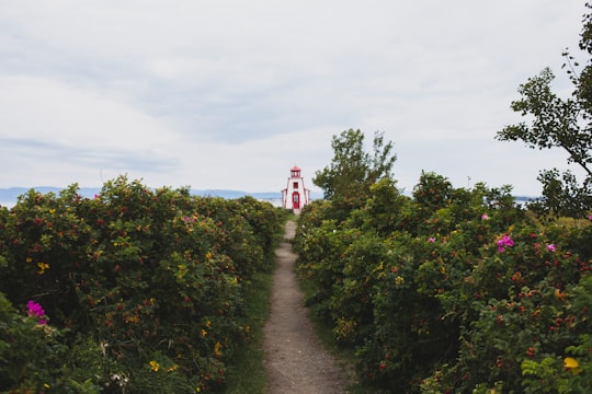red and white lighthouse surrounded by green trees under white sky during daytime in Kamouraska Canada