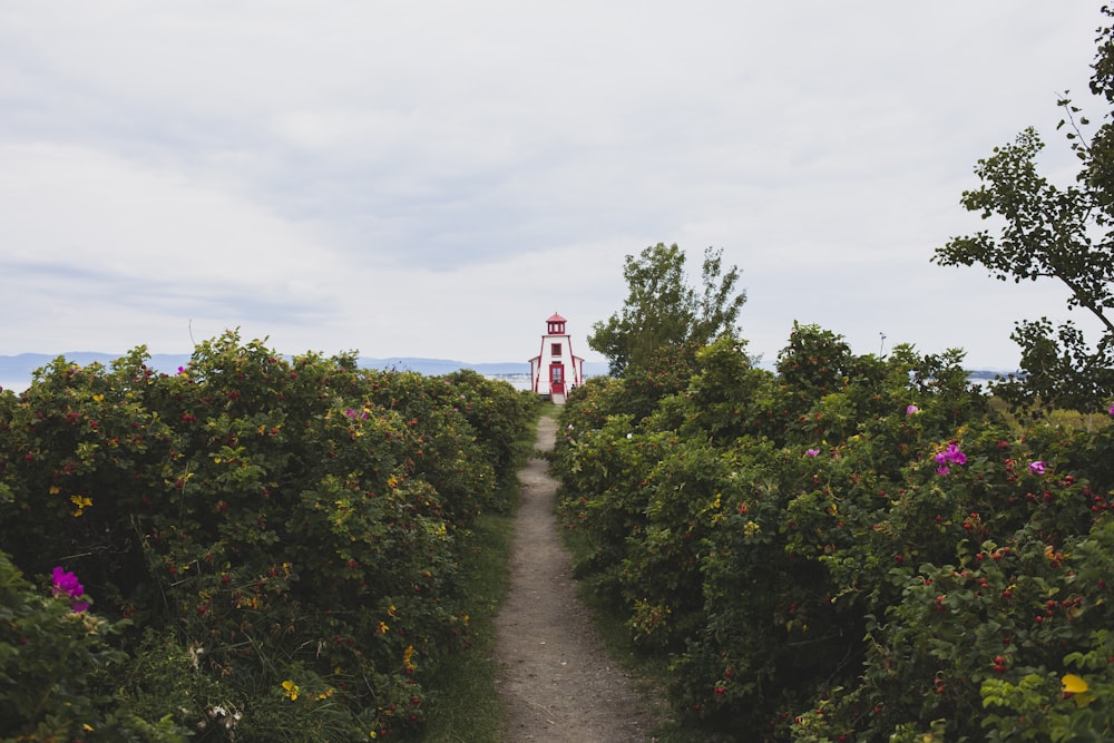 red and white lighthouse surrounded by green trees under white sky during daytime