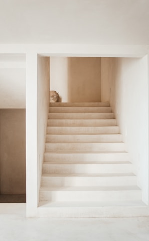 white wooden staircase with white wooden railings