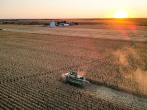 green car on brown field during sunset