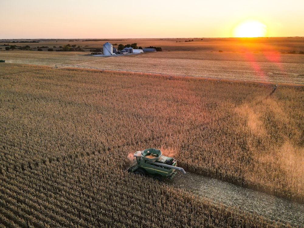 green car on brown field during sunset