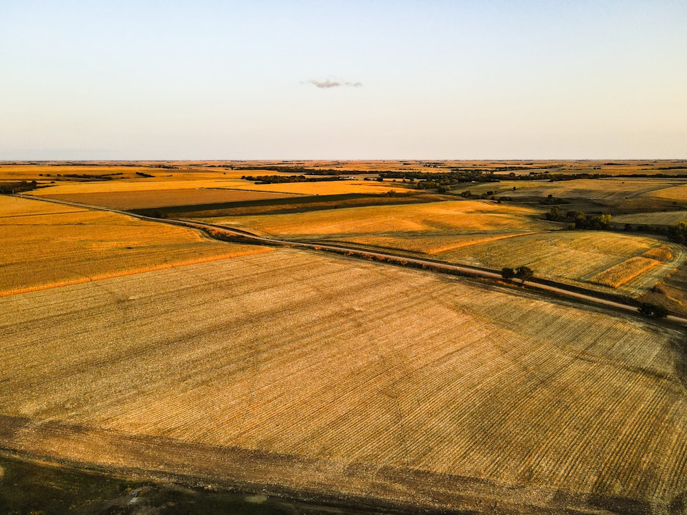 brown field under gray sky during daytime