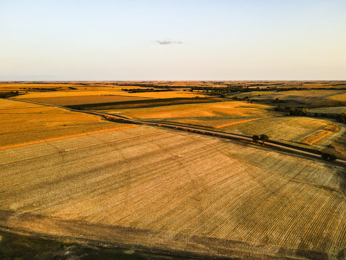 An aerial view of harvested farm fields in Nebraska in low sun