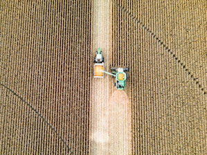 blue and silver lego toy