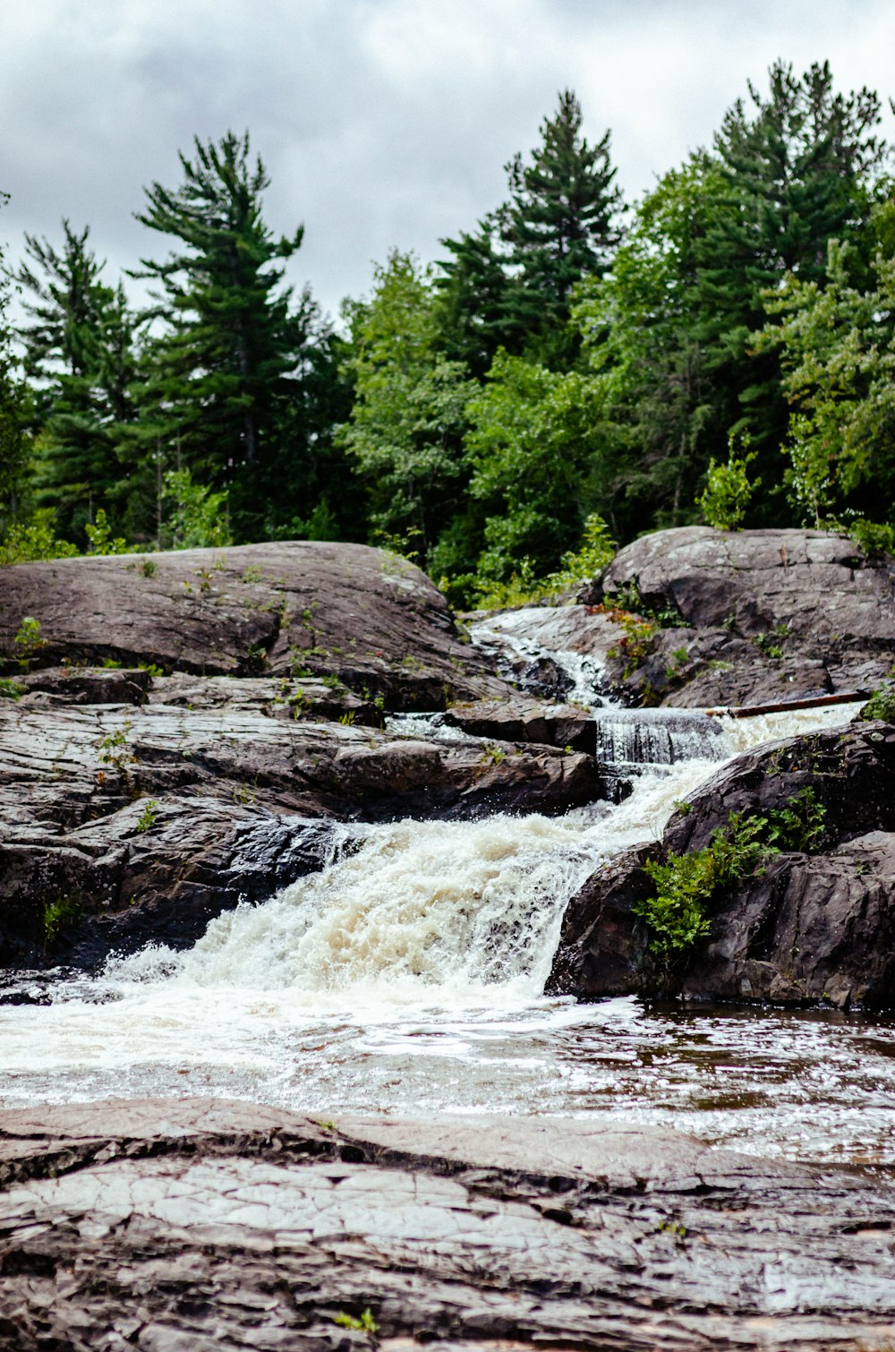 water falls in the middle of the forest