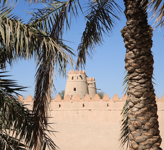 palm tree near beige concrete building in Al Ain - Abu Dhabi - United Arab Emirates United Arab Emirates