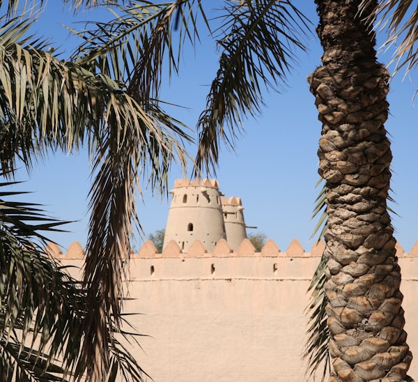 Date palm at Al Ain Fort, Abu Dhabi, UAE