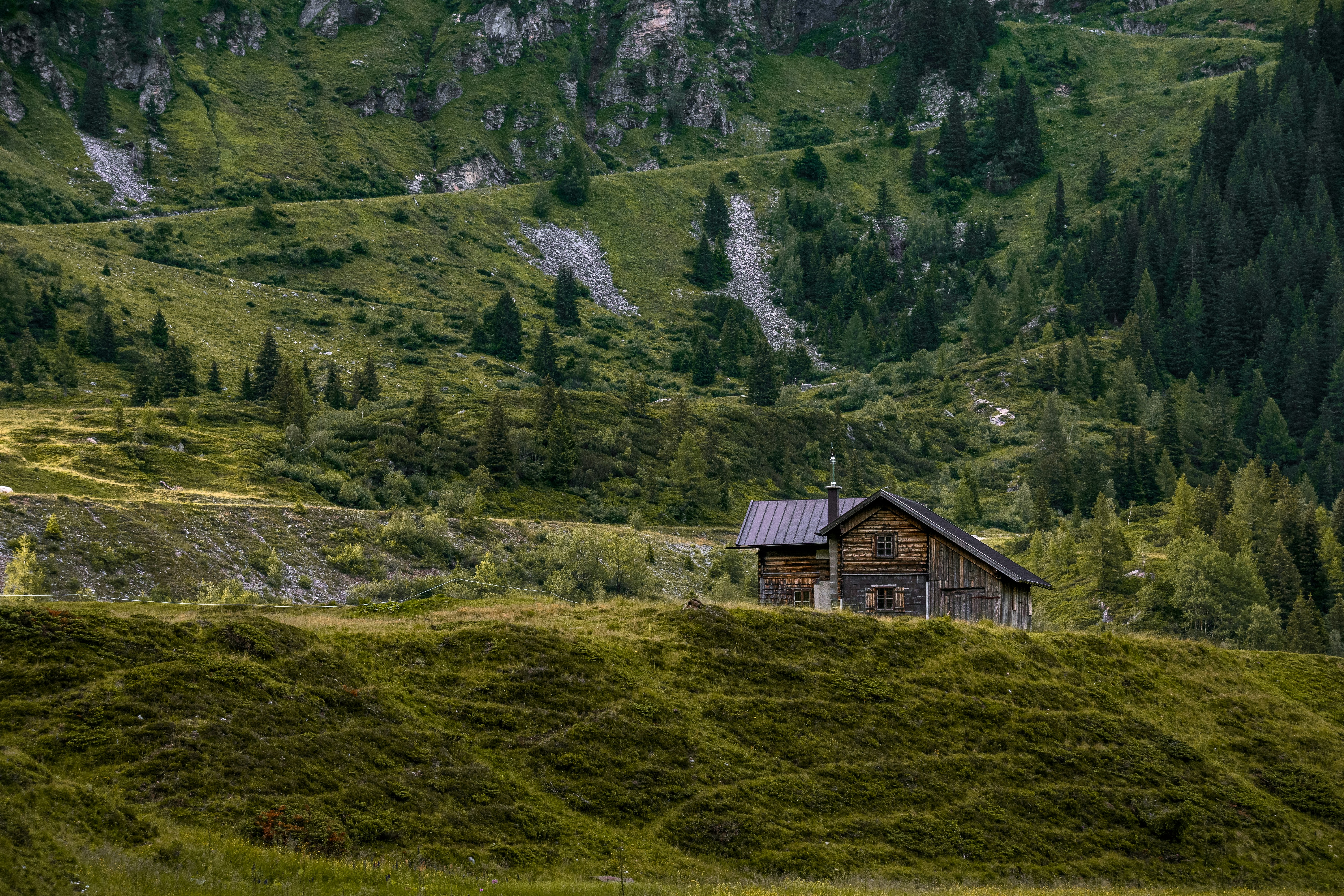brown wooden house on green grass field near green trees during daytime, Cabin on a hill in Austria
