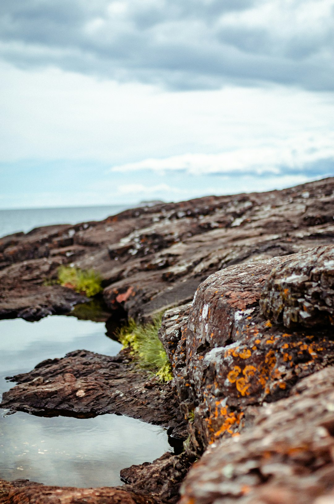 brown and green rock formation near body of water during daytime