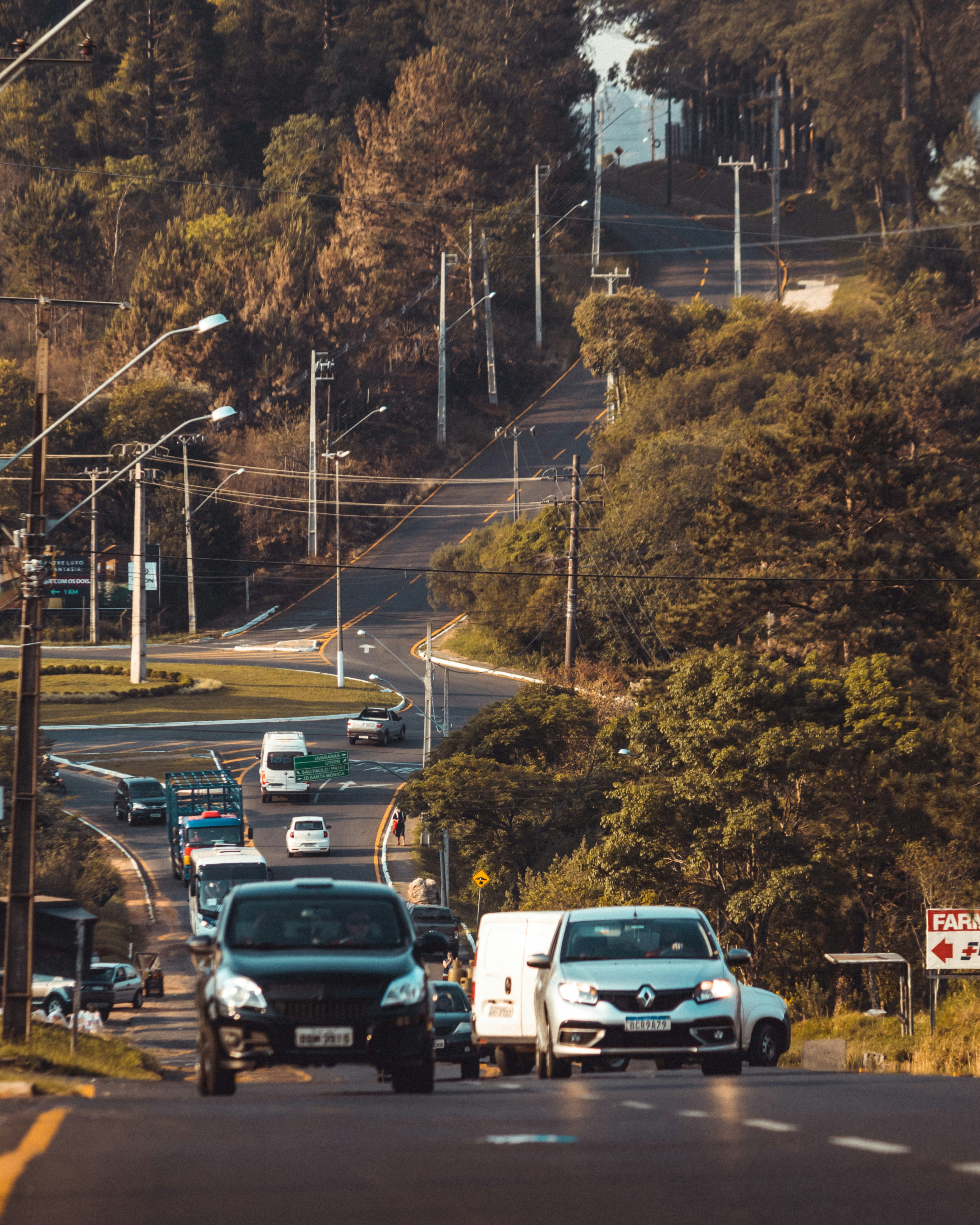 brazilian avenue