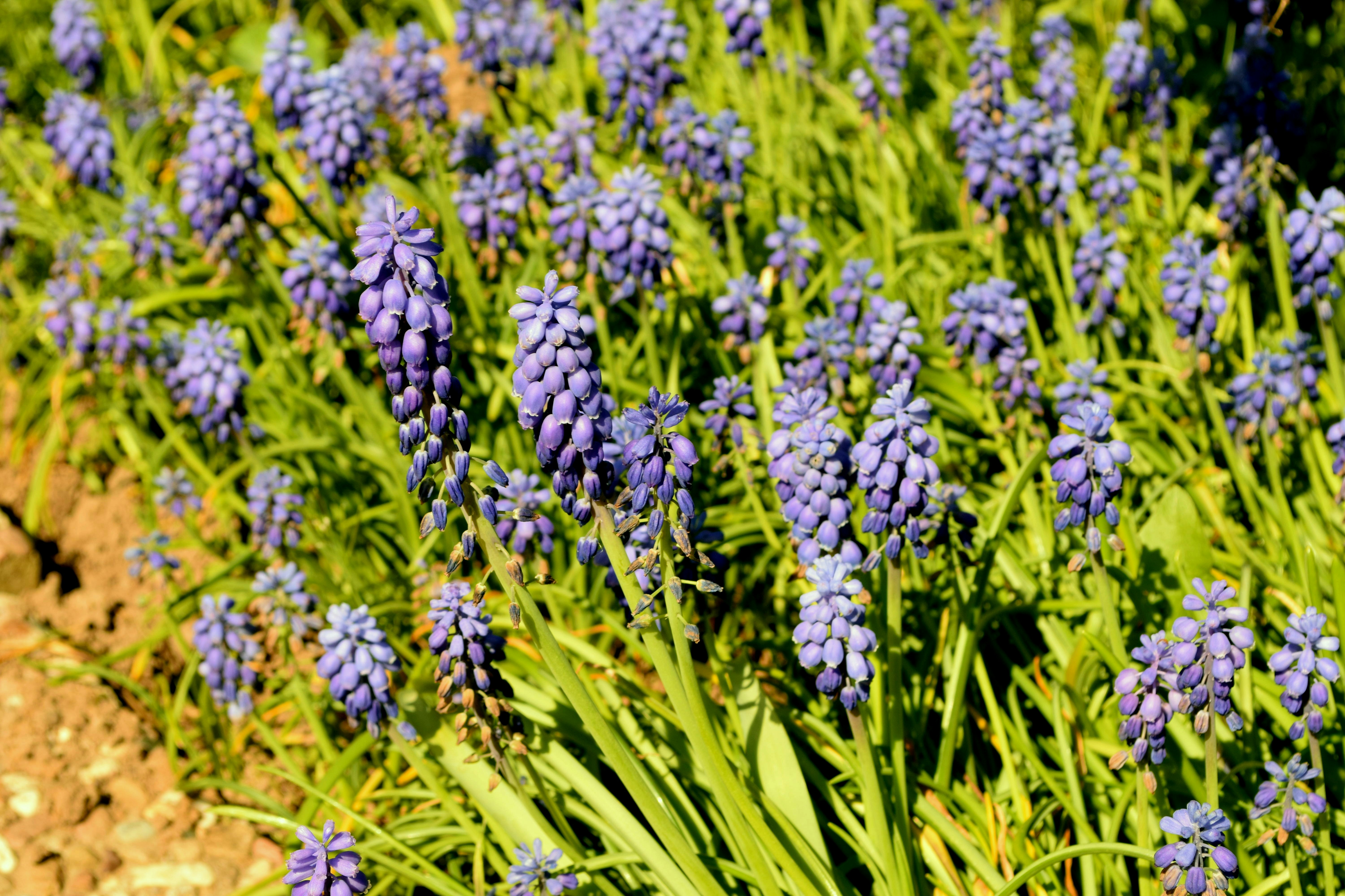 Photo by pandarenbeer