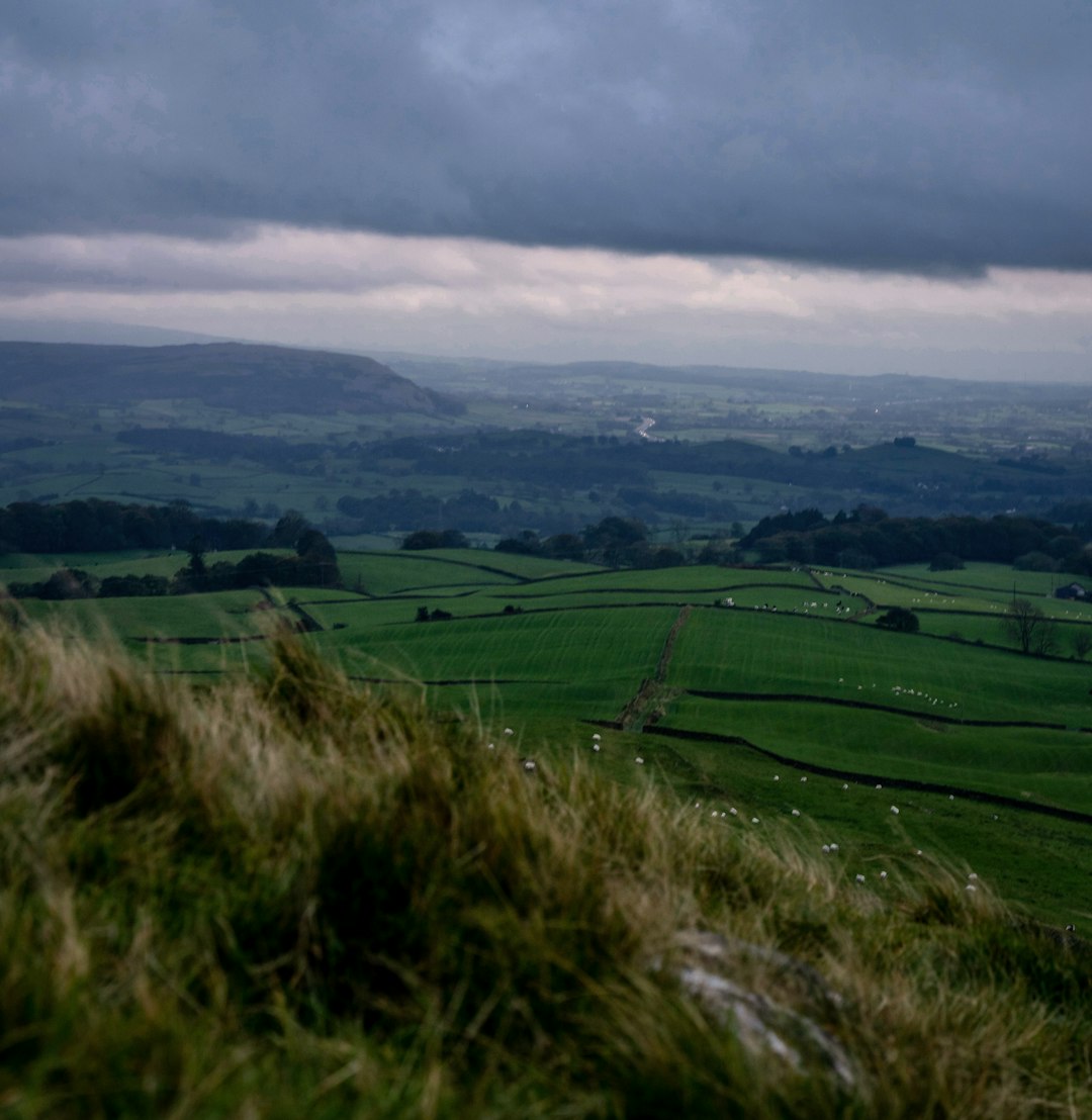 green grass field under cloudy sky during daytime