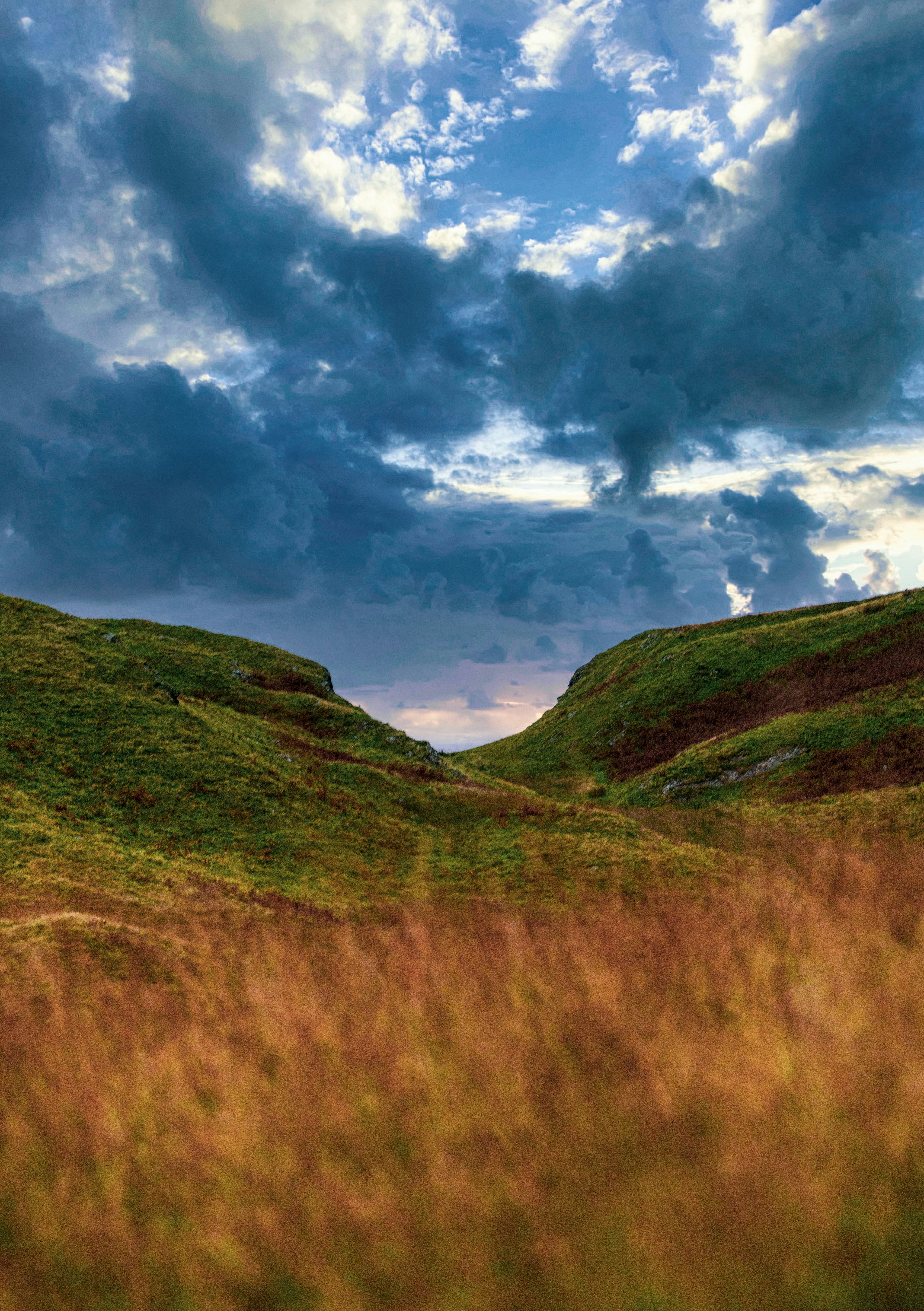 brown grass field under blue sky and white clouds during daytime