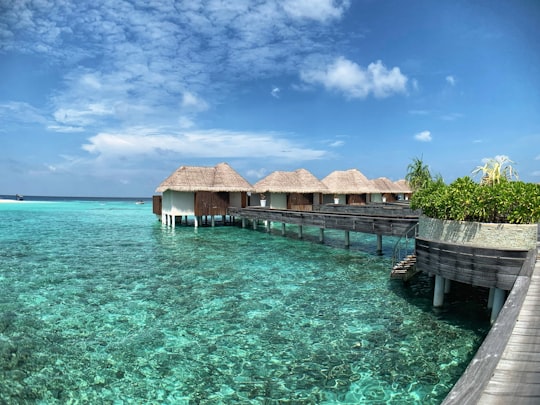 brown wooden house on body of water under blue sky during daytime in Maldive Islands Maldives