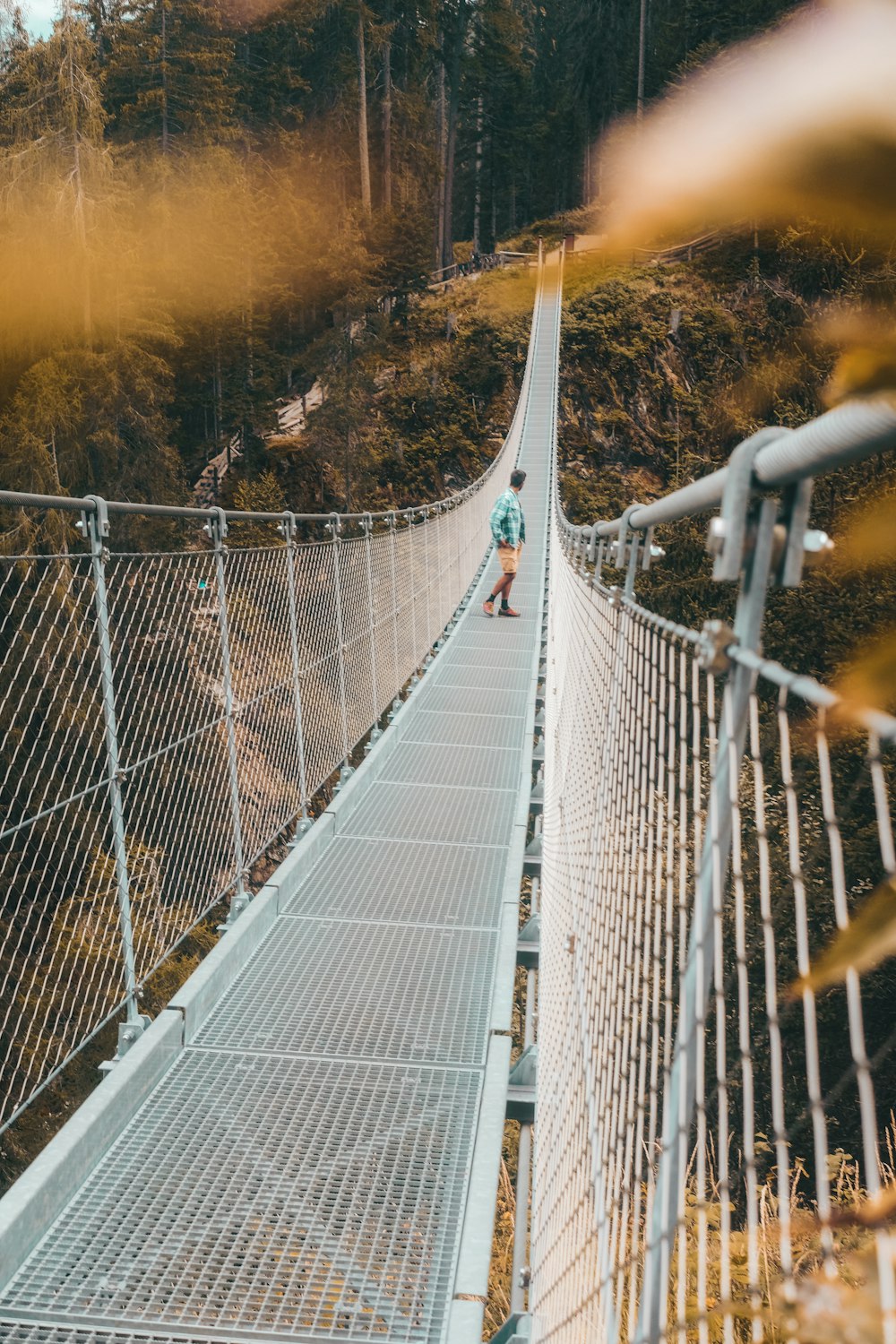 white and black bridge near trees during daytime