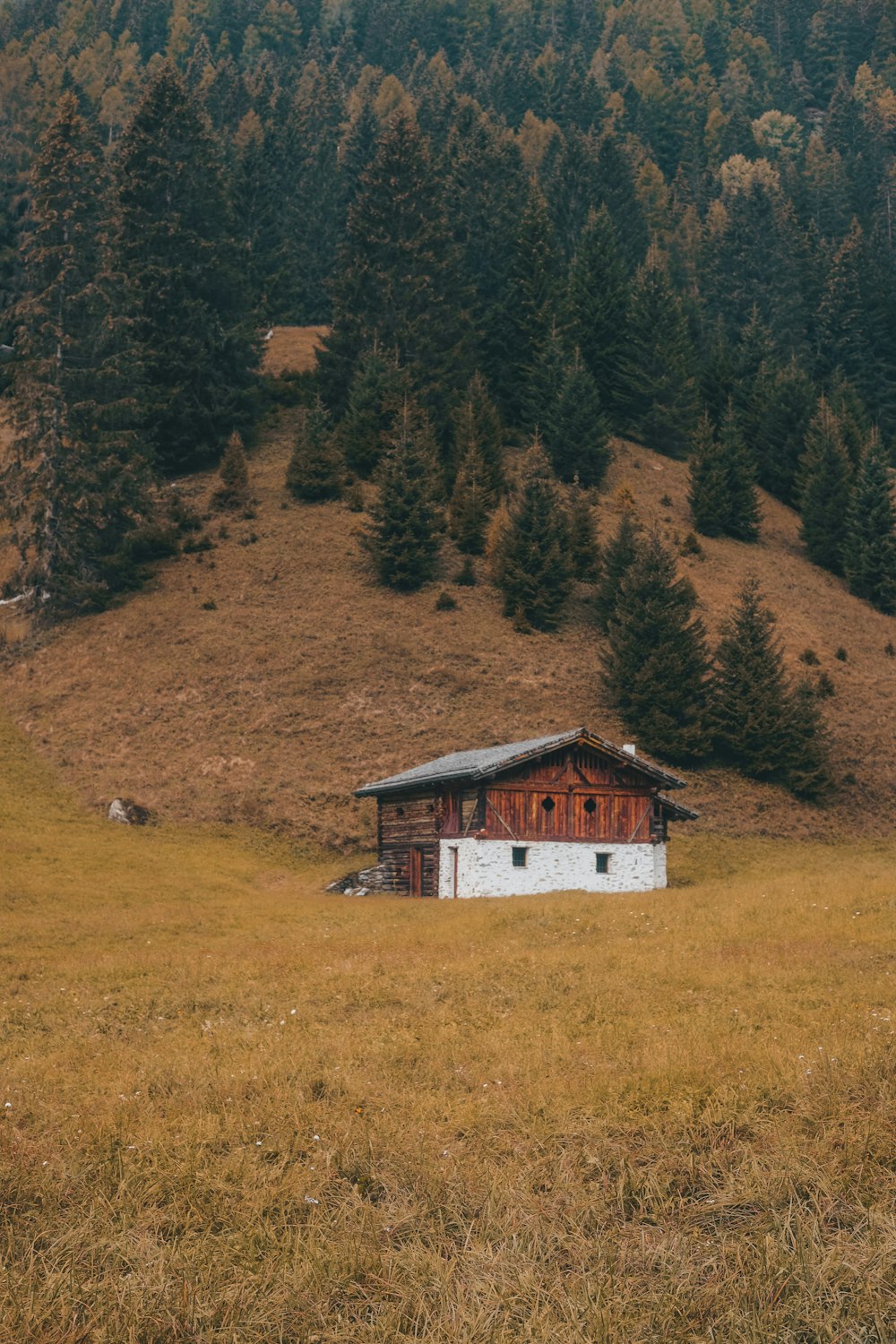 Casa de madera blanca y marrón sobre campo de hierba verde