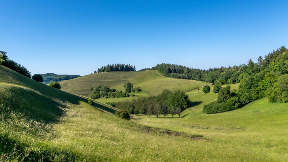 green grass field under blue sky during daytime