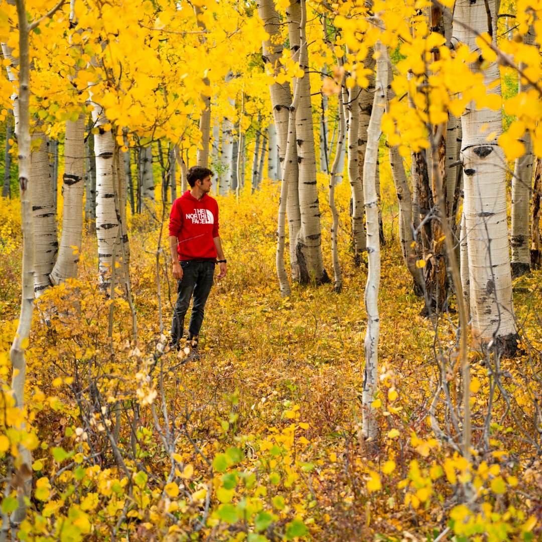 man in red jacket and black pants standing on yellow flower field during daytime