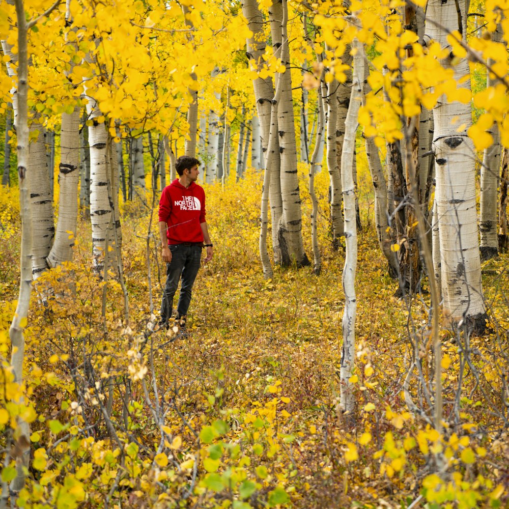 man in red jacket and black pants standing on yellow flower field during daytime