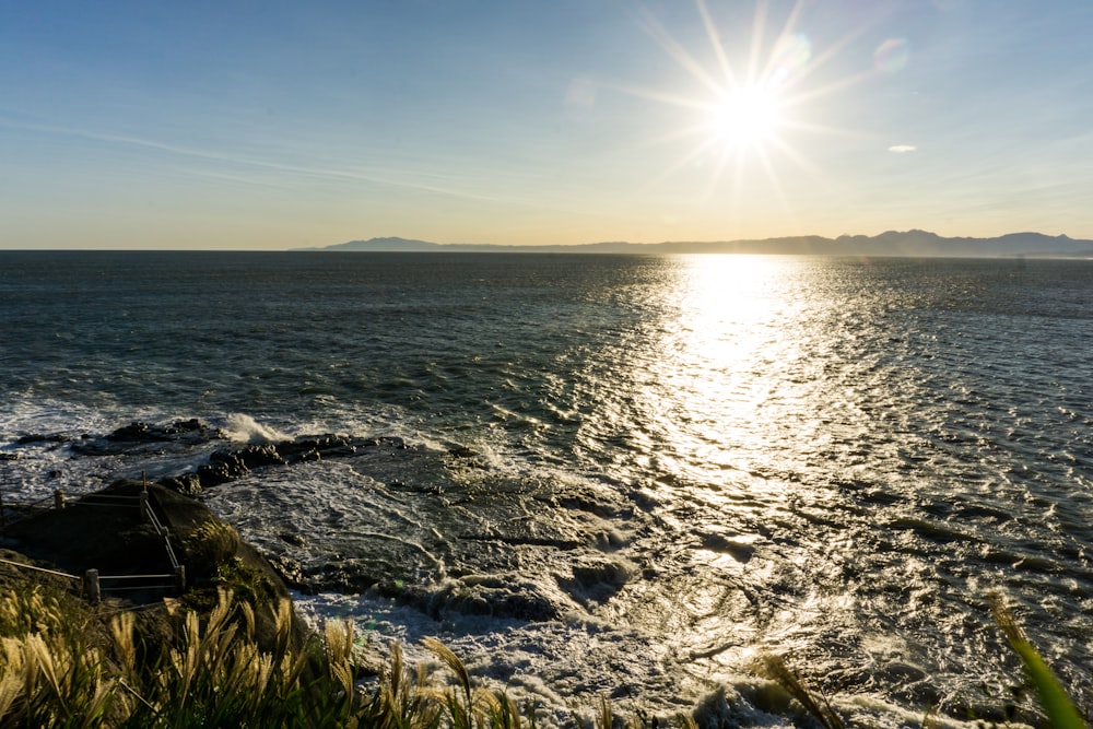 green grass on rocky shore during daytime