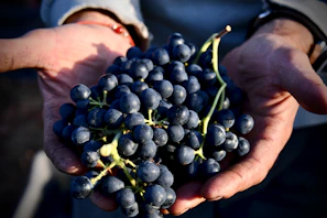Hands gently pressing grapes in a rustic wooden vat under soft evening light