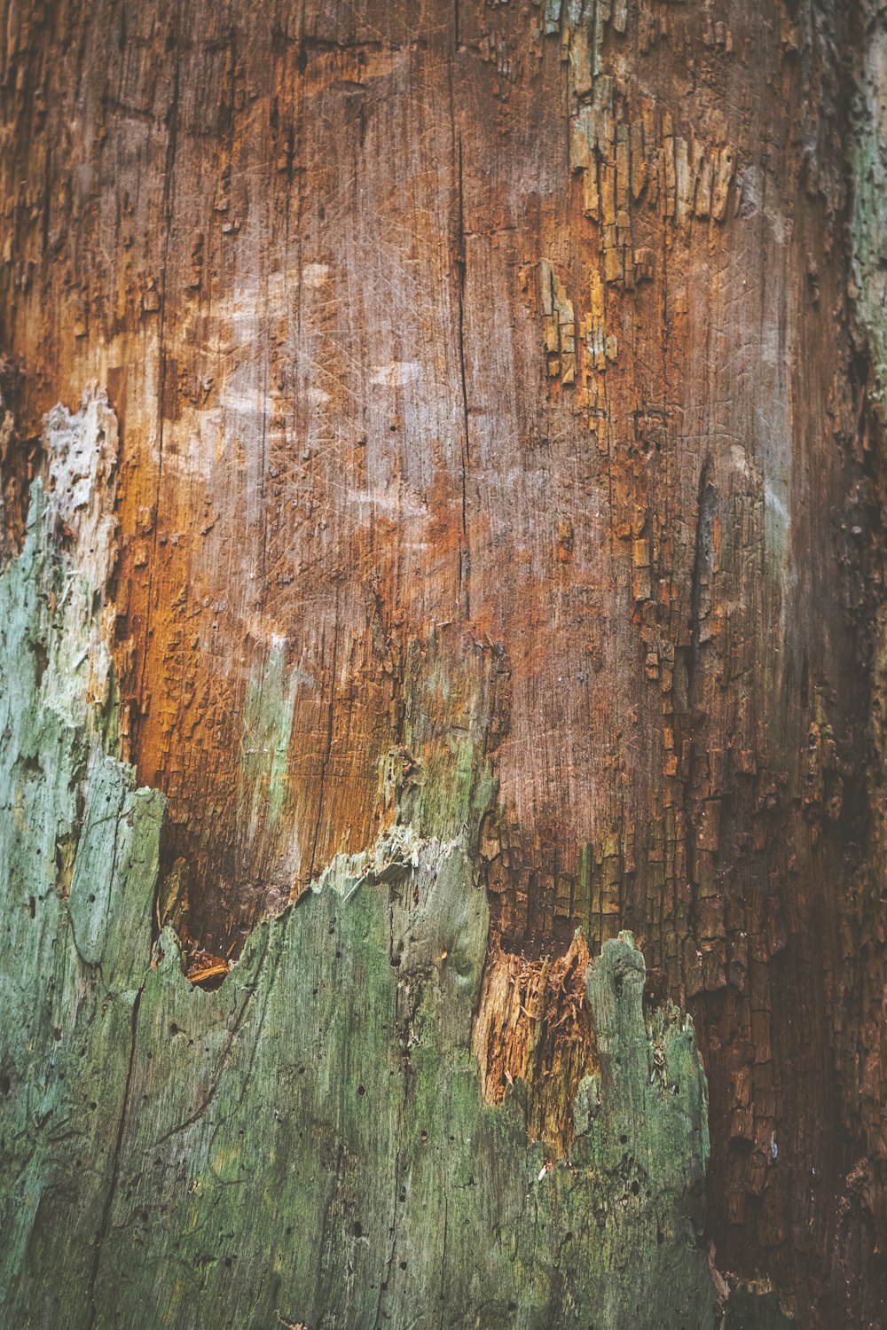 brown and green wooden board