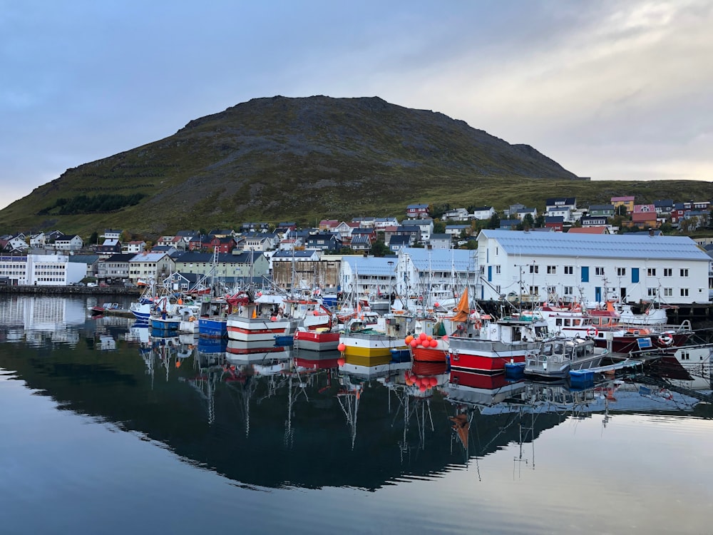 boats on dock near houses during daytime