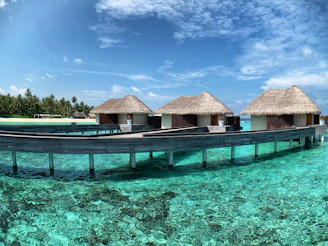 brown wooden house on blue body of water under blue sky during daytime