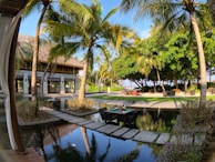 A tropical setting with palm trees surrounding a serene outdoor area. A wooden walkway crosses a reflective water feature, leading to an open, thatched-roof building with shaded seating. Lush green foliage creates a relaxing atmosphere in the bright sunlight.