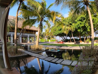 A tropical setting with palm trees surrounding a serene outdoor area. A wooden walkway crosses a reflective water feature, leading to an open, thatched-roof building with shaded seating. Lush green foliage creates a relaxing atmosphere in the bright sunlight.