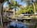A tropical setting with palm trees surrounding a serene outdoor area. A wooden walkway crosses a reflective water feature, leading to an open, thatched-roof building with shaded seating. Lush green foliage creates a relaxing atmosphere in the bright sunlight.