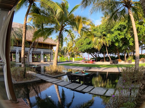 A tropical setting with palm trees surrounding a serene outdoor area. A wooden walkway crosses a reflective water feature, leading to an open, thatched-roof building with shaded seating. Lush green foliage creates a relaxing atmosphere in the bright sunlight.
