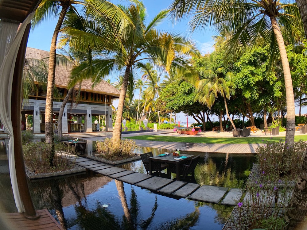 brown wooden picnic table near palm trees and body of water during daytime