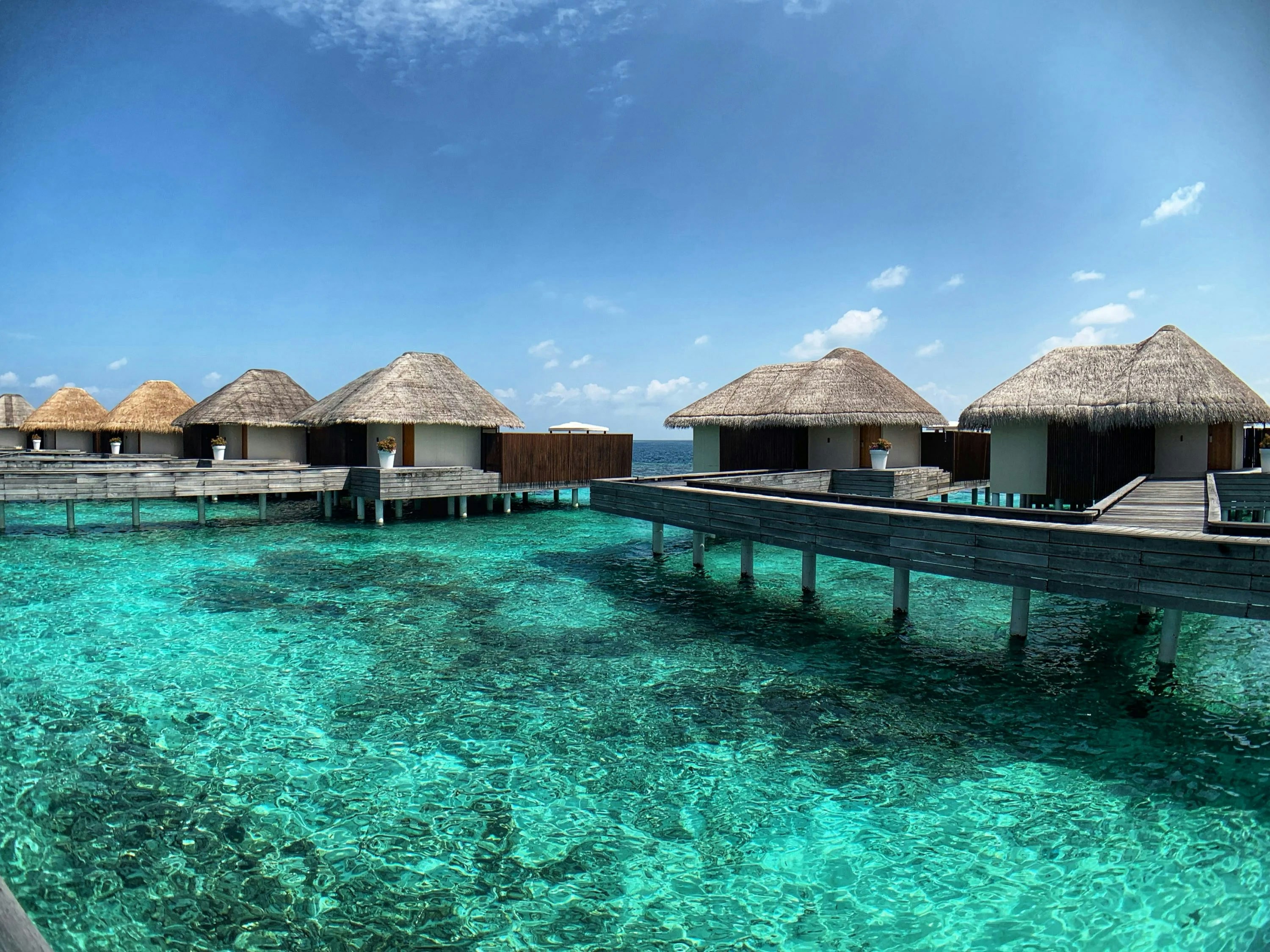 reethi faru resort maldives