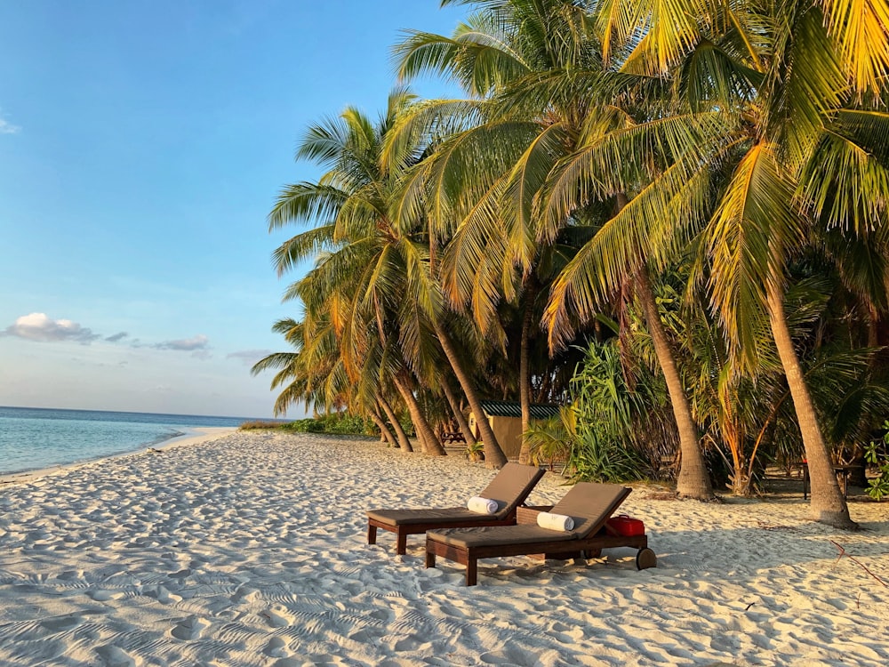 brown wooden bench on beach during daytime