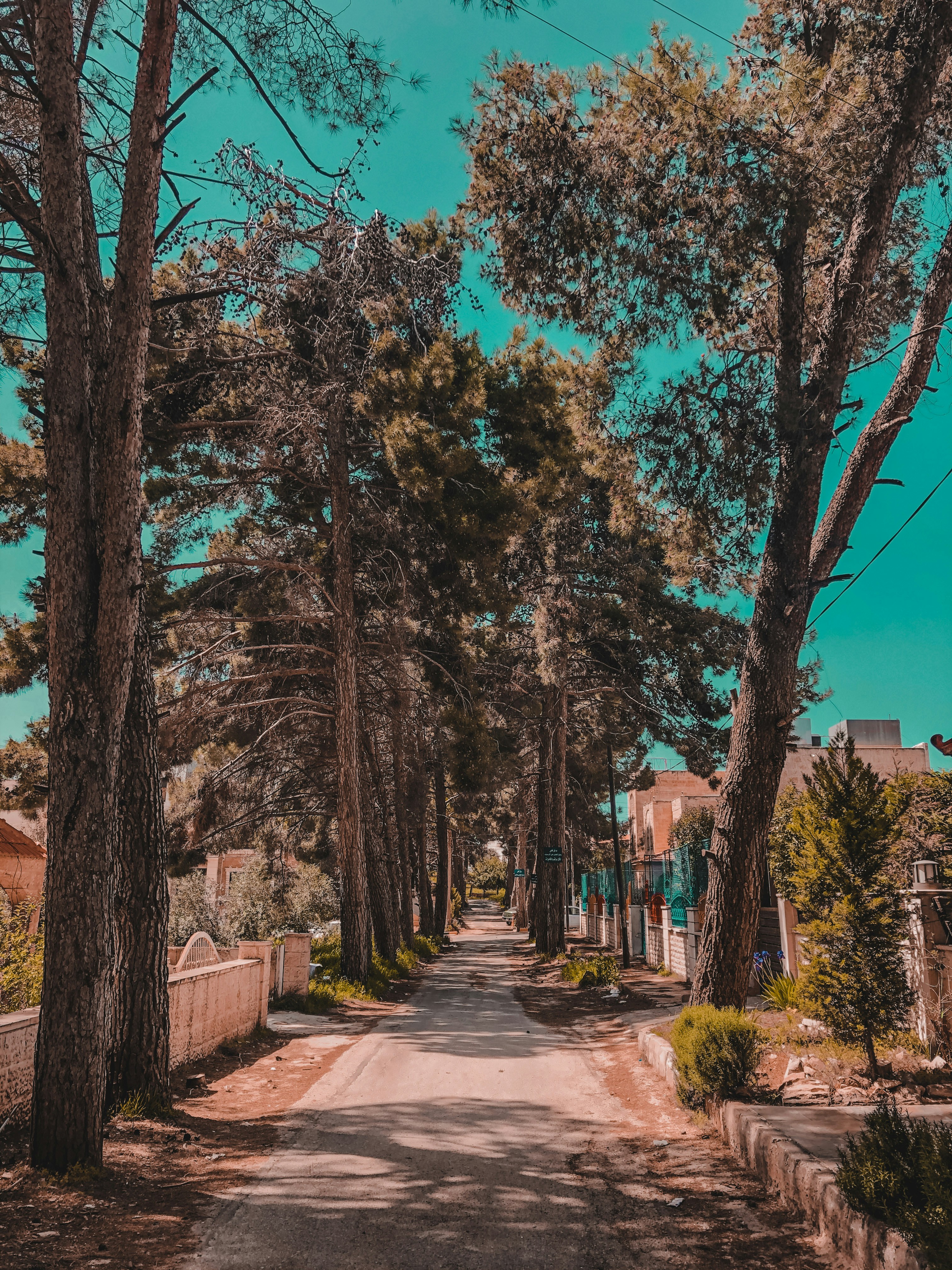 Photo by zeinat01