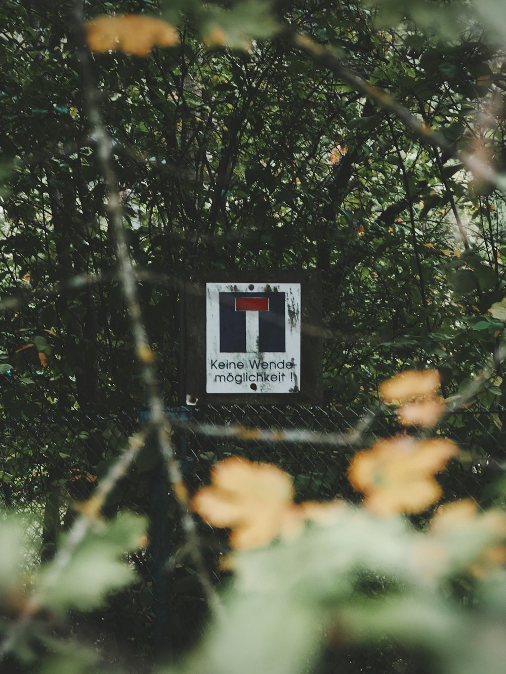 boîte blanche et rouge sur l’arbre