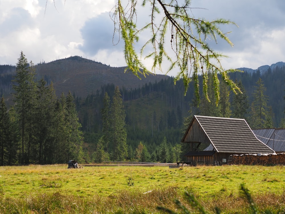 brown wooden house on green grass field near green trees and mountain during daytime