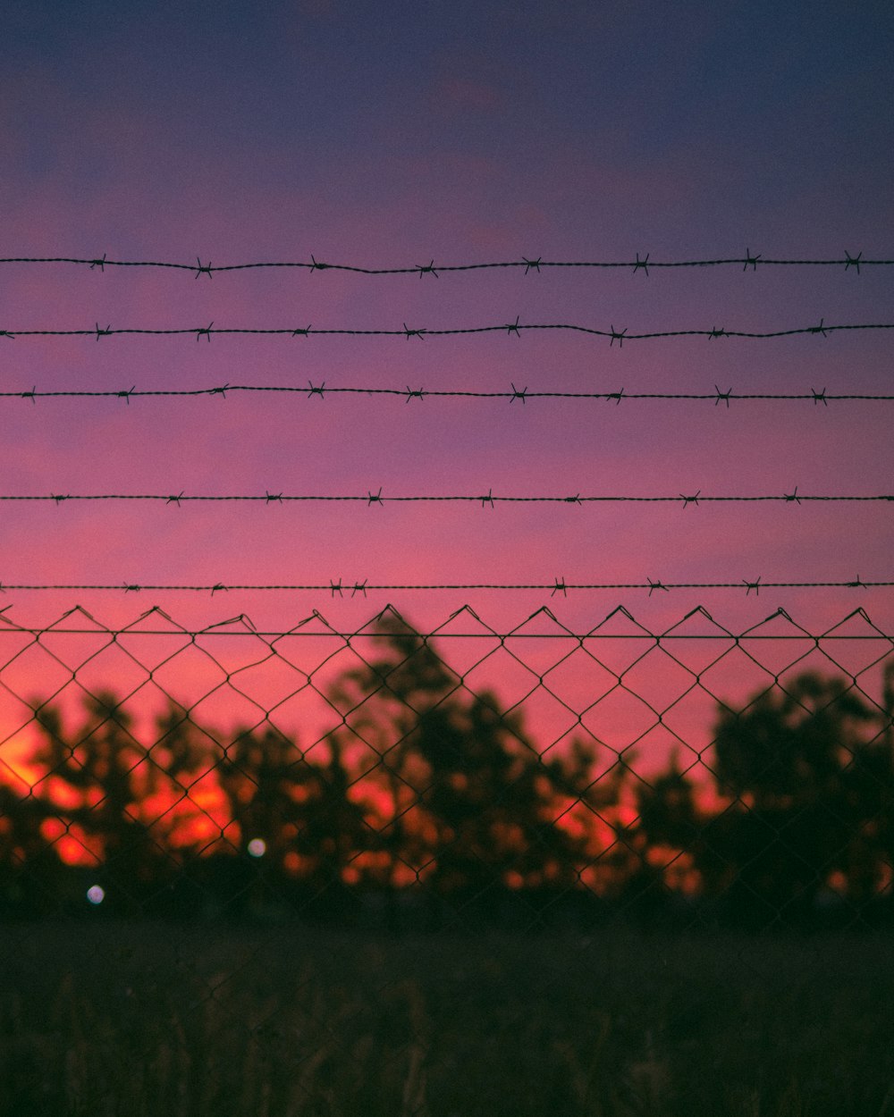 black wire fence during sunset