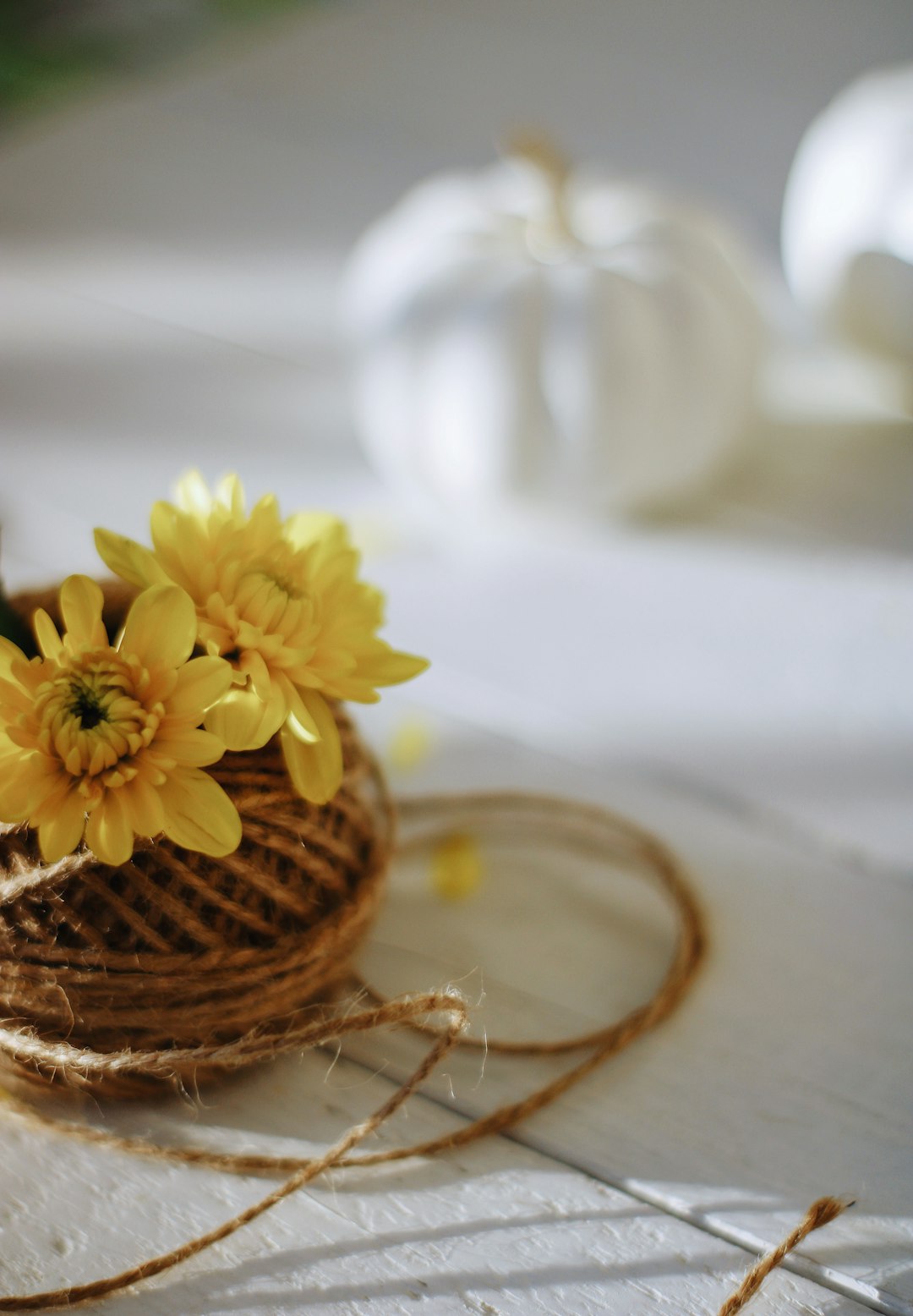 yellow flower on brown woven basket
