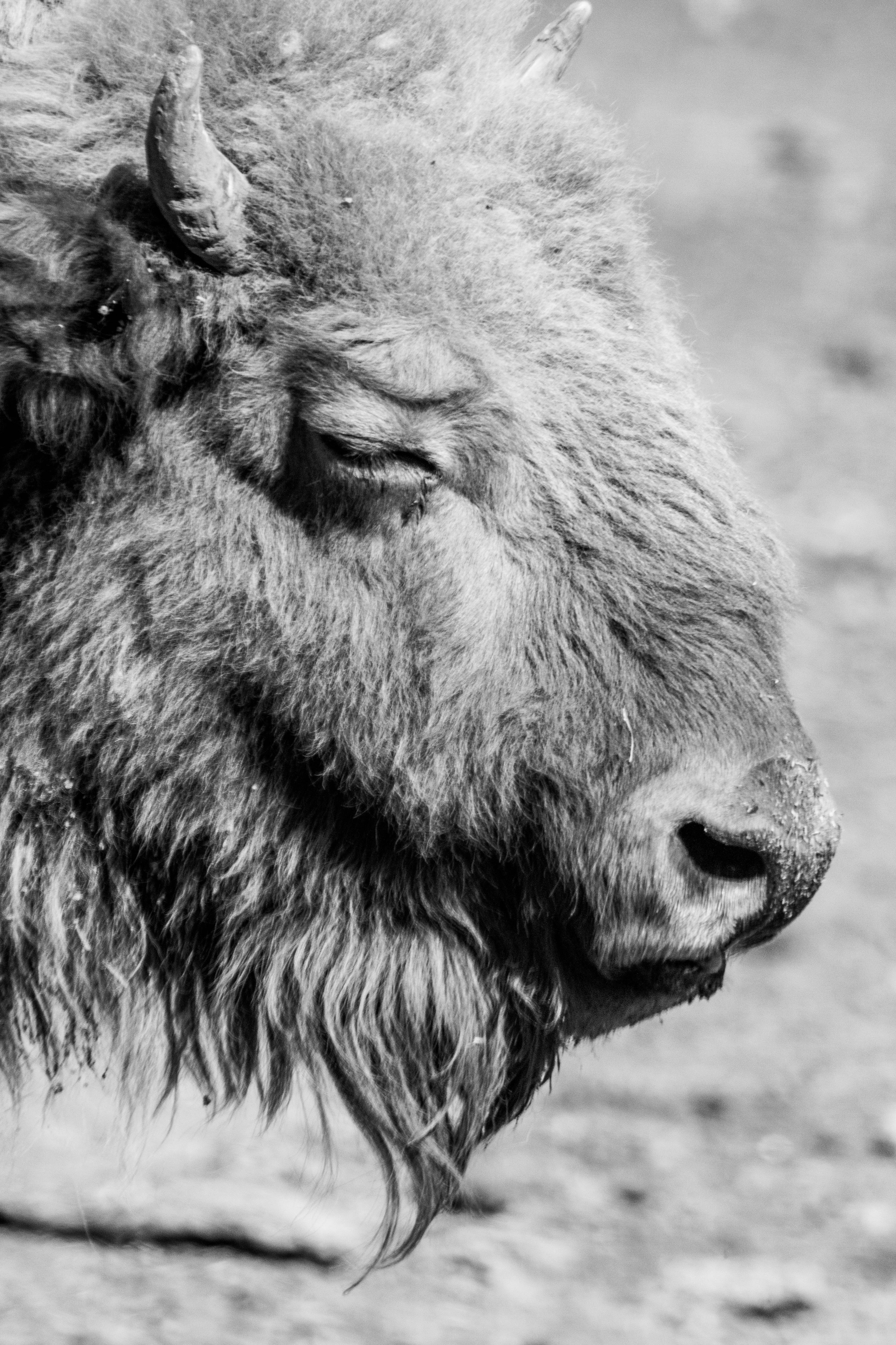 Photo by jeffersonsees