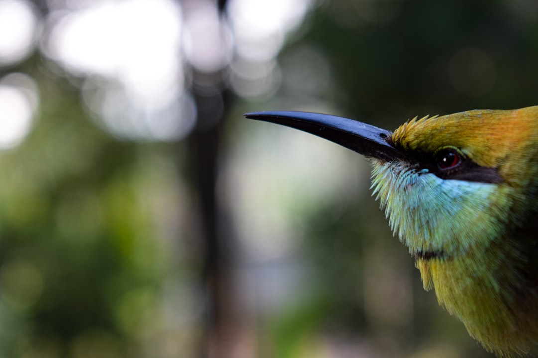 Wildlife photo spot Kottukkara Kerala