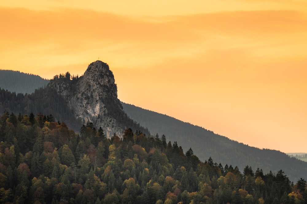 green trees near mountain during daytime