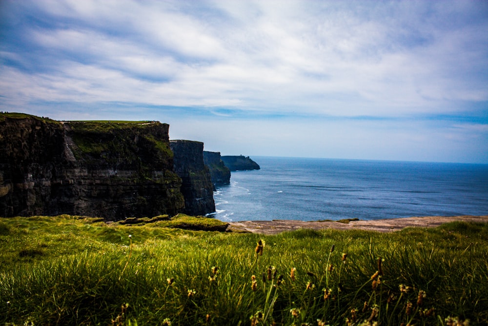 green grass field near body of water during daytime