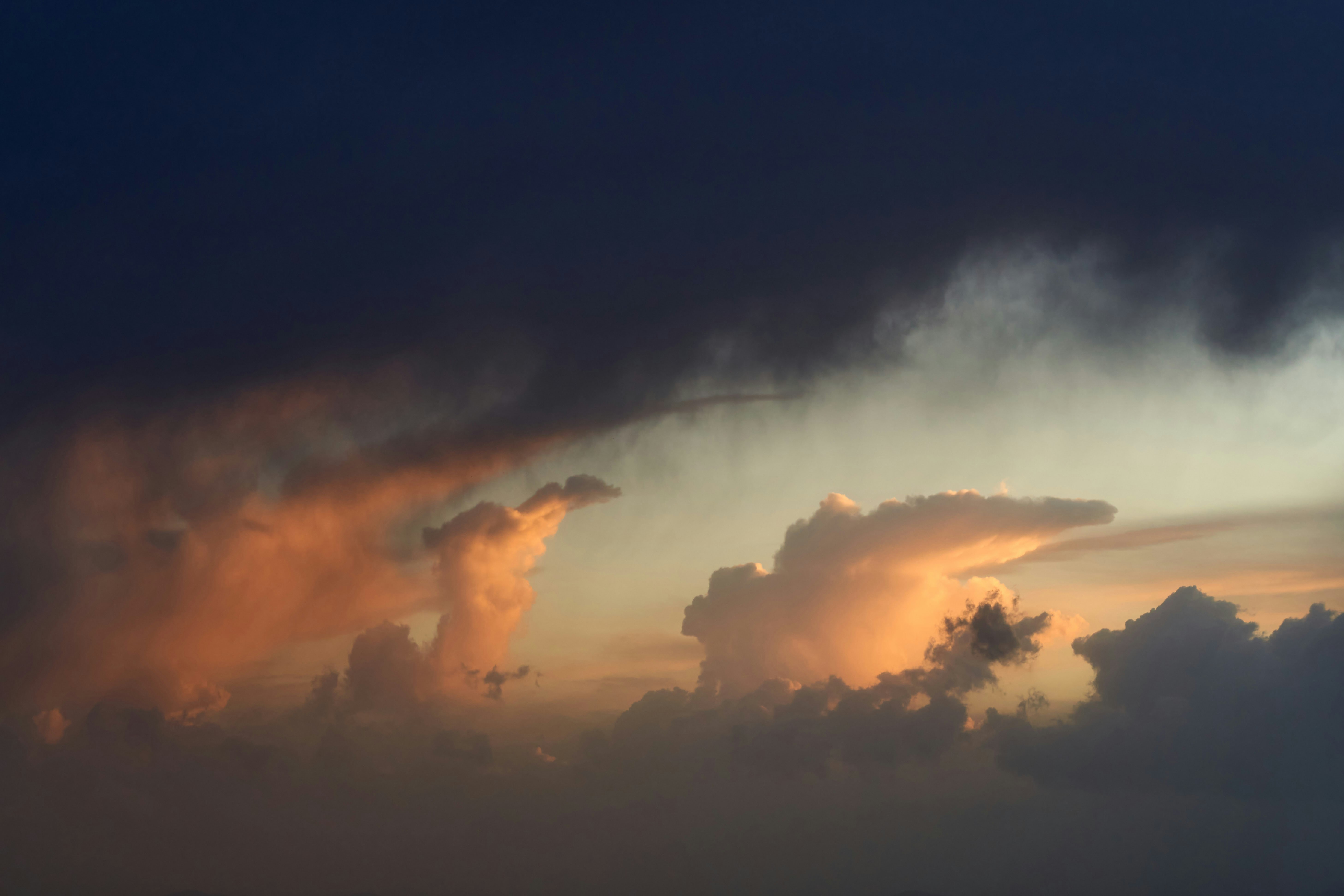 Photo by wolfgang_hasselmann