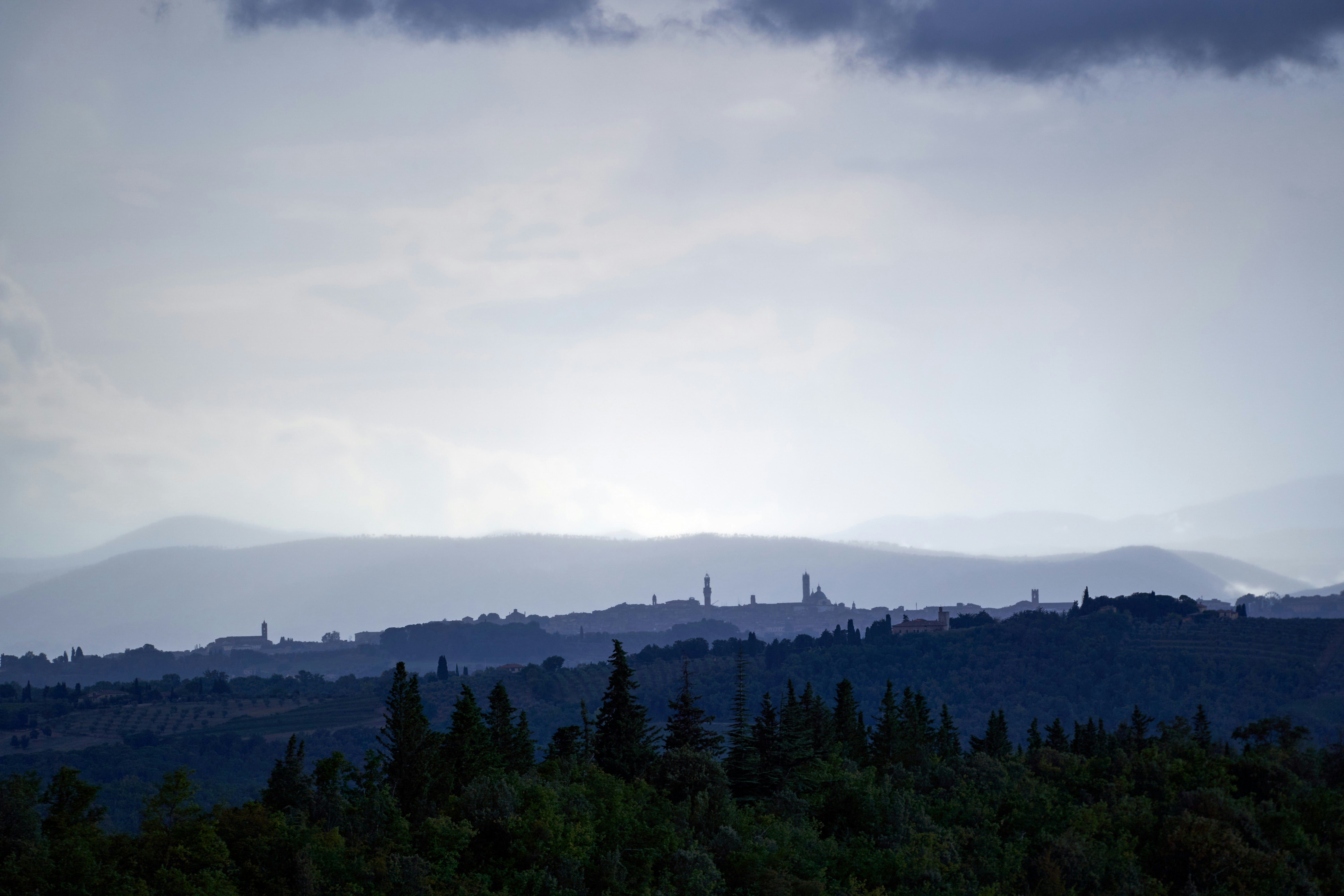 Photo by wolfgang_hasselmann