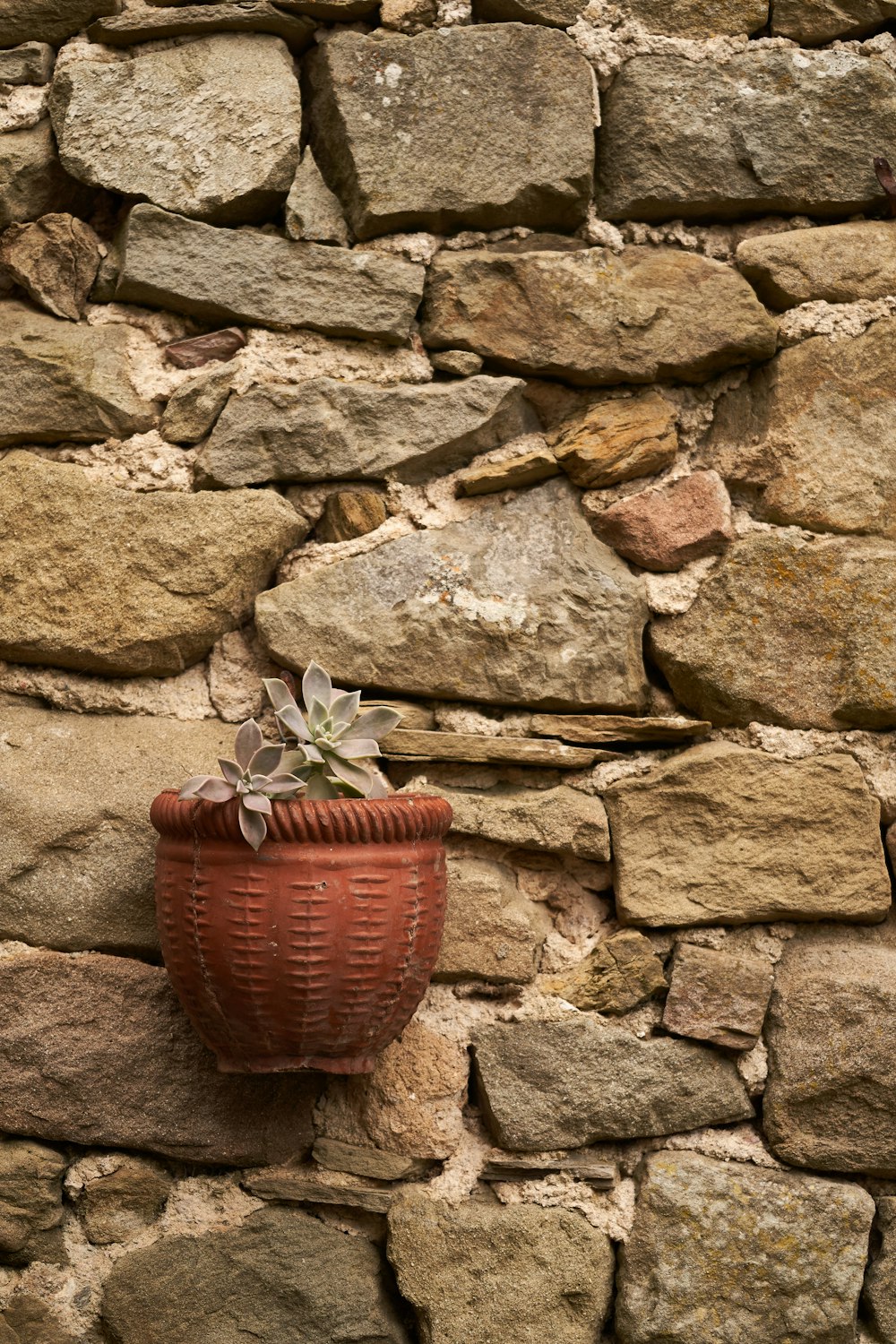 cesta tecida marrom em blocos de concreto cinza