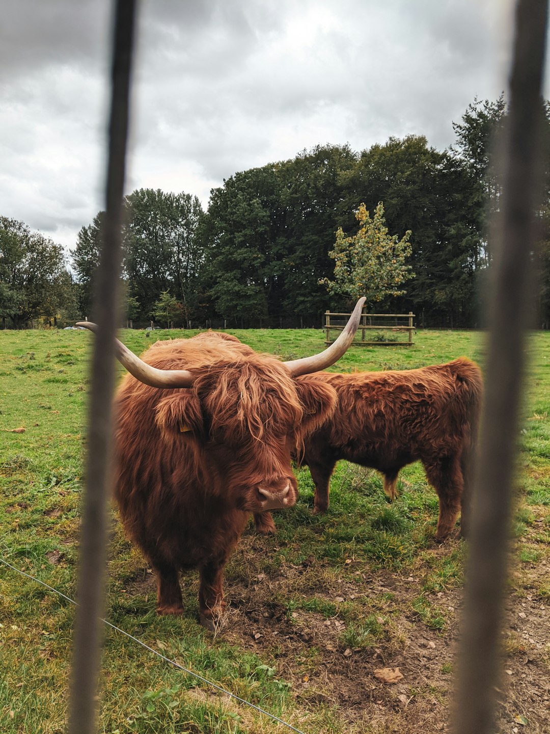 Wildlife photo spot Wildpark Schwarze Berge Holm